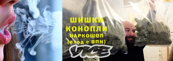 гашик Инсар