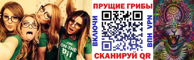 Галлюциногенные грибы Cubensis  Купить закладки  Железноводск 